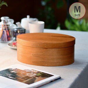 VF[J[I[o{bNX M i` HS2849 ybsOΉz [{bNX  t^t Vv i` k CeA G [P[X ؔ Homestead