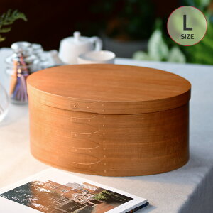 VF[J[I[o{bNX L i` HS2850 ybsOΉz [{bNX  t^t Vv i` k CeA G [P[X ؔ Homestead