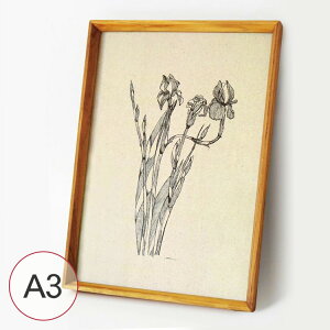 `[Nt[A3 HS3041 tHgt[ ؐ ʐ^ z  k `[N i` CeA v[g