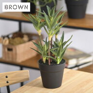 Brown. ブラウン アロエキダチ ポット 991060 観葉植物 フェイクグリーン インテリアグリーン 卓上 ミニ …