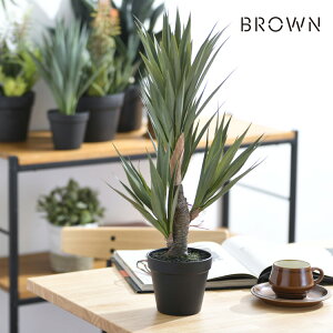 Brown. uE AKx TCU[i |bg 58 992500 ϗtA tFCNO[ CeAO[  ~j   {^jJ O[fBXvC rO  JtF X