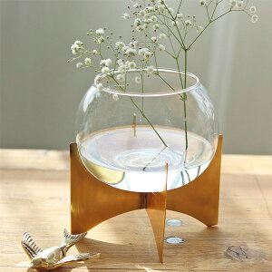 KX{Ex[X LTCY in bloom _PP02 92250002 ybsOΉz t[x[X Kԕr KX{[ Ԋ   Vv JtF Vbv k CeA rO 