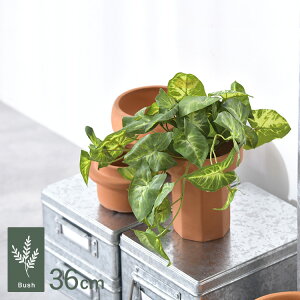 VSjE ubV GL-5208GR ϗtA  tFCNO[ CeAO[ {^jJ A[eBtBVt[ AWg Ǌ|@݂艺 ǖ O[fBXvC 