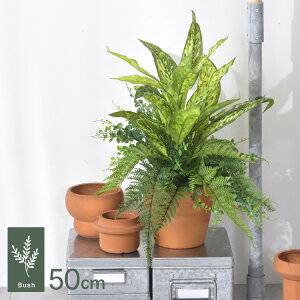 fBtFoLA ~bNX ubV GL-5183GR ϗtA  tFCNO[ CeAO[ {^jJ AWg Ǌ|@݂艺 ǖ O[fBXvC rO  