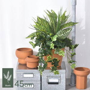 ACr[ ~bNX ubV GL-5184GR ϗtA  tFCNO[ CeAO[ {^jJ A[eBtBVt[ Ǌ|@݂艺 ǖ O[fBXvC rO 