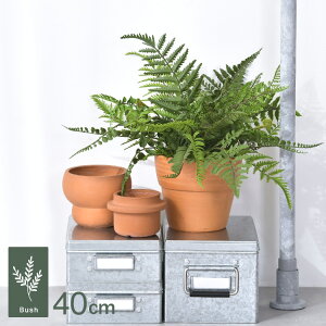 ~bNXt@[ ubV GL-5172GR ϗtA  tFCNO[ CeAO[ {^jJ A[eBtBVt[ AWg Ǌ|@݂艺 ǖ O[fBXv