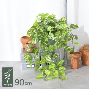 |gX nMOubV GL-5258 ϗtA  tFCNO[ CeAO[ {^jJ A[eBtBVt[ AWg Ǌ|@݂艺 ǖ O[fBXv