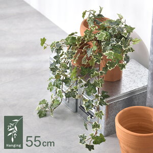 ACr[S[f nMOubV GL-5224 ϗtA  tFCNO[ CeAO[ {^jJ AWg Ǌ|@݂艺 ǖ O[fBXvC rO 