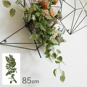 sAOEJ nMOubV GL-5339GR ϗtA  tFCNO[ CeAO[ {^jJ AWg Ǌ|@݂艺 ǖ O[fBXvC rO  