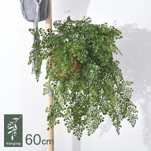 AWA^ nMOubV GLKK-1437 ϗtA  tFCNO[ CeAO[ {^jJ AWg Ǌ|@݂艺 ǖ O[fBXvC rO  J