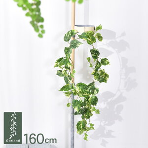 |gX K[h GL-5010 ϗtA  tFCNO[ CeAO[ {^jJ A[eBtBVt[ AWg Ǌ|@݂艺 ǖ O[fBXvC r