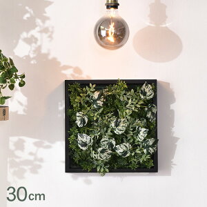 tbV[t~bNX }bg GL-5131GR ϗtA  tFCNO[ CeAO[ {^jJ A[eBtBVt[ AWg Ǌ|@݂艺 ǖ O[f