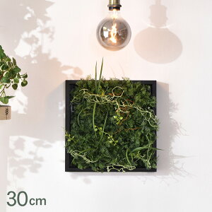 ChO[ }bg GL-MB058GR ϗtA  tFCNO[ CeAO[ {^jJ A[eBtBVt[ AWg Ǌ|@݂艺 ǖ O[fBXv