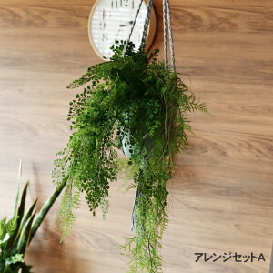 tFCNO[ AWZbgA ϗtA  AWg CeAO[ {^jJ A[eBtBVt[   bNX O[fBXvC rO  