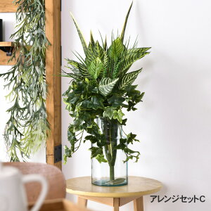 tFCNO[ AWZbgC ϗtA  AWg CeAO[ {^jJ A[eBtBVt[   bNX O[fBXvC rO  