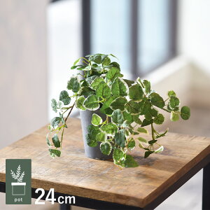 �v�~�� �|�b�g GLA-1529-GR �ϗt�A�� �t�F�C�N�O���[�� �C���e���A�O���[�� �����b�N�X ���� ���� �k�� ���e���A ���A �{�^�j�J�� �O���[���f�B�X�v���C ���r���O ���� �J�t�F �X��