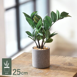 U~tHA |bg GLA-1520-GR ϗtA tFCNO[ CeAO[ bNX   k eA A {^jJ O[fBXvC rO  JtF X