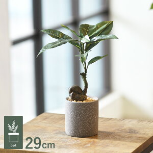 �R�[�q�[�̖� �|�b�g GLA-1521-GR �ϗt�A�� �t�F�C�N�O���[�� �C���e���A�O���[�� �����b�N�X ���� ���� �k�� ���e���A ���A �{�^�j�J�� �O���[���f�B�X�v���C ���r���O ���� �J�t�F �X��