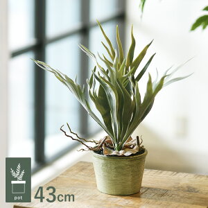 X^bLOz[ |bg GLA-1364-GR ϗtA tFCNO[ CeAO[ bNX   k eA A {^jJ O[fBXvC rO  JtF X