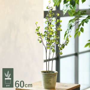 xW~obN |bg GLA-1506-GR ϗtA tFCNO[ CeAO[ bNX   k eA A {^jJ O[fBXvC rO  JtF X