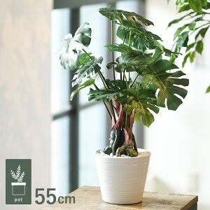 Xe |bg GLA-1232 ϗtA tFCNO[ CeAO[ bNX   k eA A {^jJ O[fBXvC rO  JtF X