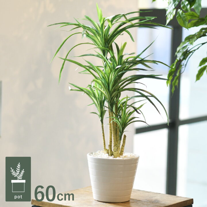 楽天市場】ユッカ ポット GLA-1231 観葉植物 フェイクグリーン 