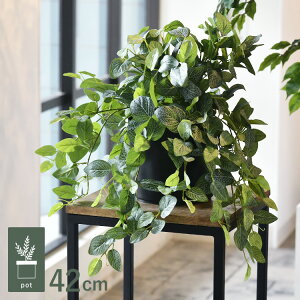 tBgjA |bg GLA-1519 ϗtA tFCNO[ CeAO[ bNX   k eA A {^jJ O[fBXvC rO  JtF X