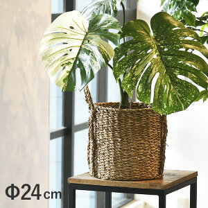 zO nhoXPbg |bgJo[ 24cmia22cm܂ł̔Ήj 39017 ԕr t[x[X O[|bg  Ԋ Vv i` _ VRf k CeA v[
