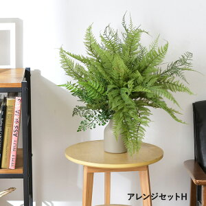 tFCNO[ AWZbgH ϗtA  AWg CeAO[ {^jJ A[eBtBVt[   bNX O[fBXvC rO  