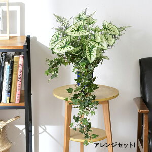 tFCNO[ AWZbgI ϗtA  AWg CeAO[ {^jJ A[eBtBVt[   bNX O[fBXvC rO  