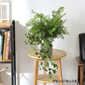 tFCNO[ AWZbgK ϗtA  AWg CeAO[ {^jJ A[eBtBVt[   bNX O[fBXvC rO  