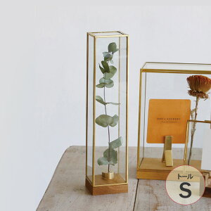 Horn Please z[ v[Y BRASSt[ fBXvC{bNX g[ S _PP02 107784 ybsOΉz KXP[X ANZT[ hCt[ k G AeB[N ^J Mtg v[