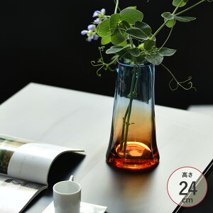 ԕr KX  VG S 24cm 777-744-206 KXԕr J[KX t[x[X vase CeA G  } k KXx[X  u[ uE   XJC [sA