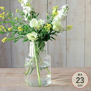 Horn Please z[ v[Y [YKX t[x[X P[g L _PP02 372156 t[x[X ԕr KX Vv   OX x[X k 