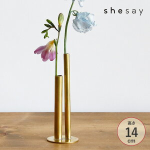 shesay VZC ̈قȂV_[ BRASS̃t[x[X S 304036 t[x[X ԕr ֑}  Vv ^J t[ O[ hCt[ nhCh