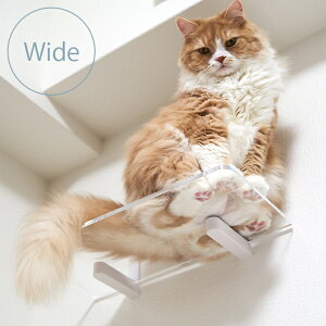 animacolle Aj}R Catroad+ Lbg ChXebvNA NKC-CL1-5003 L   LbgXebv LbgEH[N  DIY Ch Lbg^[ 