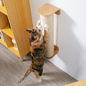 MYZOO }CY[ CYLINDER ܂Ƃ|[ YQ-E7N0-KAVS L ܂Ƃ LbgEH[N ߂Ƃ cgM Ǖt MY ZOO k