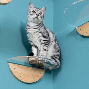 MYZOO マイズー Round Lack ラウンドラック クリア BVN-017 猫 キャットステップ キャットウォーク 壁付け 壁掛け 透明 シンプル 丸形 円形 北欧