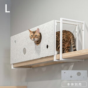 MYZOO }CY[ AVENUE Jo[ L Lp LbgXebv Jo[ MYZOO AVENUEJo[ Jo[ ډB B  jZbNX