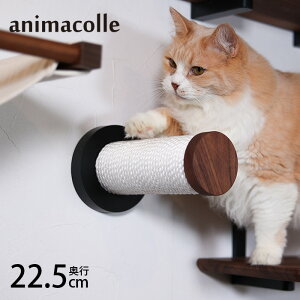 animacolle Aj}R WNLbgXeBbN NKC-WNT-5026A LbgXebv ܂Ƃ L Lp ܌ LbgXNb`[ Aj}R  jOCeA 