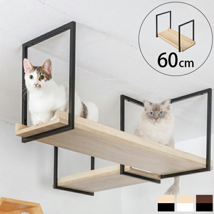 楽天市場】MYZOO マイズー AVENUE 60cm 猫用 猫 キャットステップ 