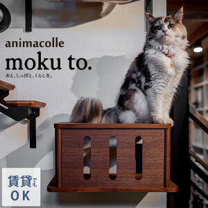 animacolle �A�j�}�R�� moku to.�L���b�g�g���l�� NKC-WNT-5031 �L���b�g�X�e�b�v �L�p �L���b�g �Ǌ|�� �g���l�� ���Y ����OK �ؐ� ��i moku to.