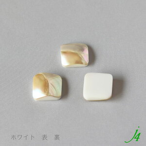 y VF × | 16mm lp 1 j4 z| |GXe  shell L \ J{V VR VRf Ȃ Jt nhCh  p[c r[Y Ɩp ANZT[ sAX C