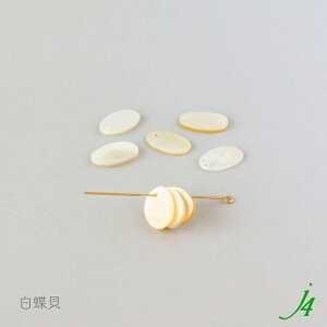 y VF p[c  16x10mm I[o 8 j4 zVRf ANZT[p[c r[Yp[c L L L Lk shell C i` natural R nhCh  p[c ANZT