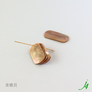 y VFp[c  30x15mm I[o 4 j4 zVRf ANZT[p[c r[Yp[c L L L Lk shell C i` natural R nhCh  p[c ANZT