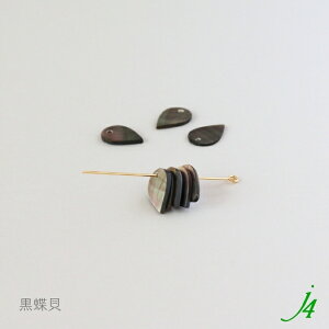 y VFp[c  14x10mm thbv 8 j4 zVRf ANZT[p[c r[Yp[c L L L Lk shell C i` natural R nhCh  p[c ANZ