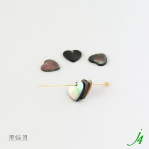 y VFp[c  11x 11mm  6 j4 zVRf ANZT[p[c r[Yp[c X^[ L Lk shell C i` natural R nhCh  p[c ANZT[ sAX C