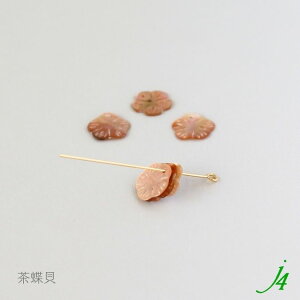 y VFp[c  12x12mm  6 j4 zVRf ANZT[p[c r[Yp[c t[ L L L Lk shell C i` natural R nhCh  p[c ANZ