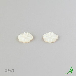 �y �V�F���p�[�c ������ 14 x14mm �� 2�� j4 �z�V�R�f�� �A�N�Z�T���[�p�[�c �r�[�Y�p�[�c �J�{�V���� �\��t�� �t�����[ �� ���L �L�k shell �C �i�`������ natural ���R �n���h���C�h ���� �p�[�c