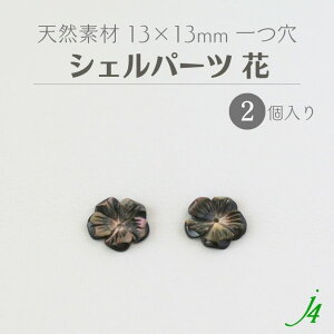 y VFp[c  13 x13mm  2 j4 zVRf ANZT[p[c r[Yp[c S t[  L Lk shell C i` natural R nhCh  p[c ANZT[